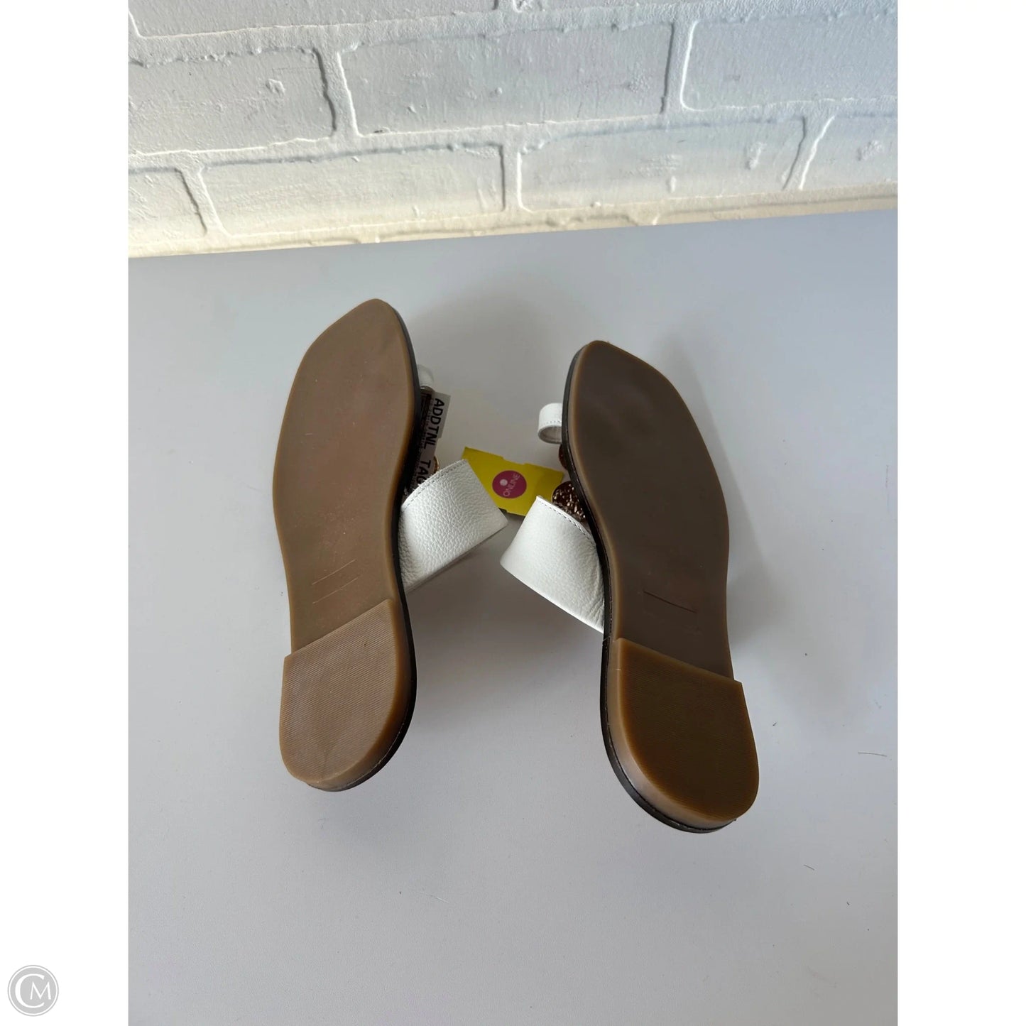 Sandals Flip Flops By Coach And Four In Brown & Cream, Size: 6.5