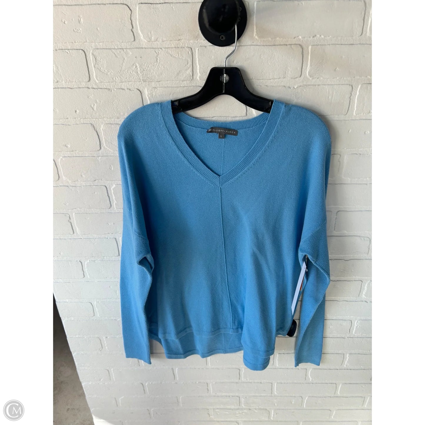 Sweater By Elliott Lauren In Blue, Size: L