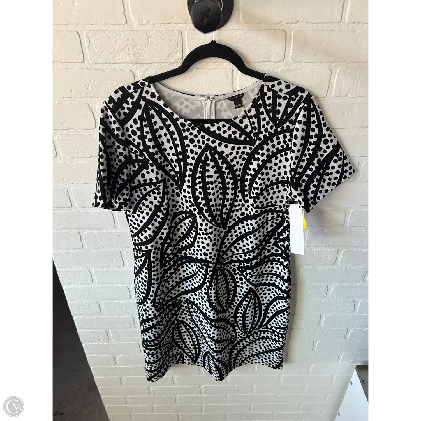 Dress Casual Short By Ann Taylor In Black & White, Size: L