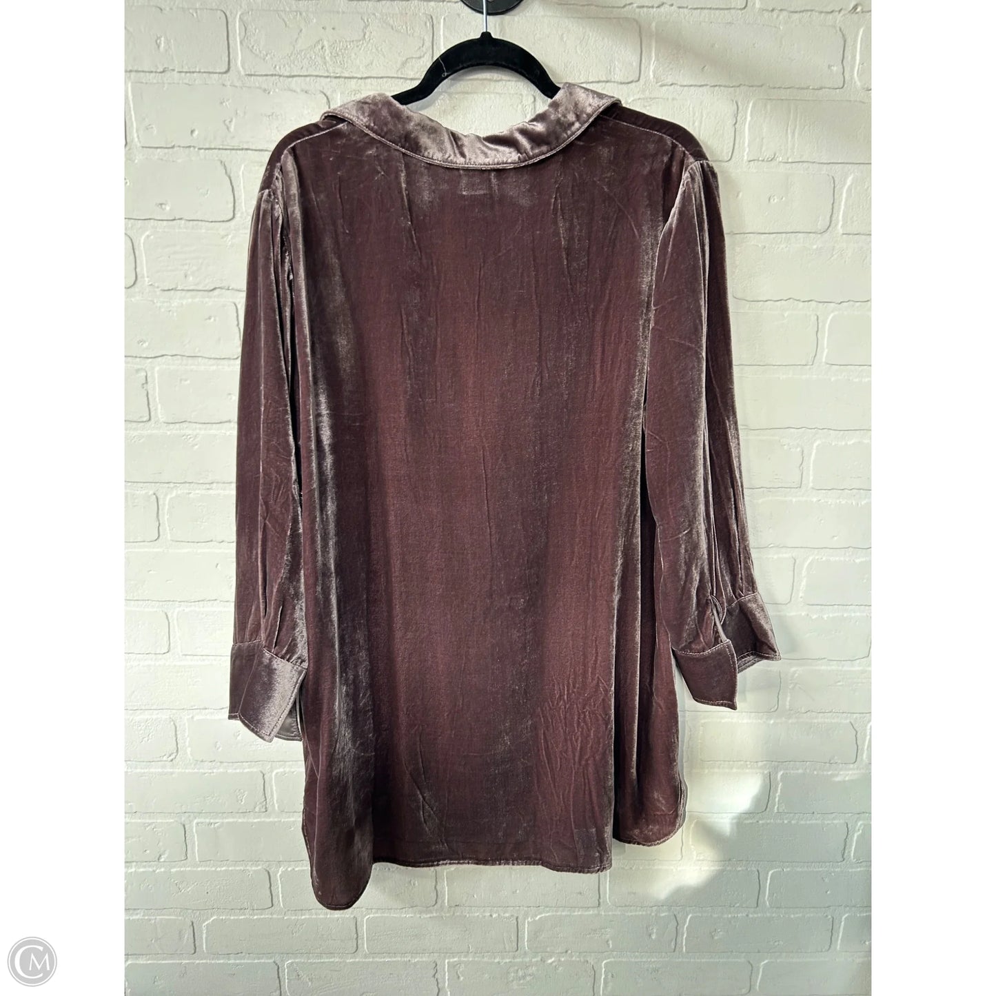 Top Long Sleeve By Sundance In Brown, Size: Xl