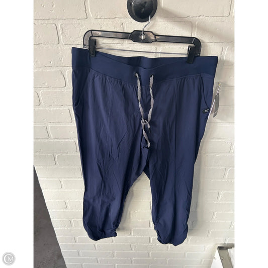 Pants Joggers By Torrid In Blue, Size: 14