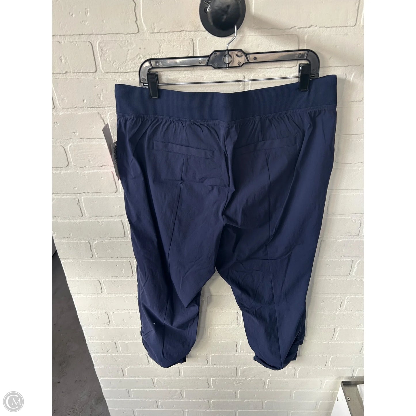 Pants Joggers By Torrid In Blue, Size: 14