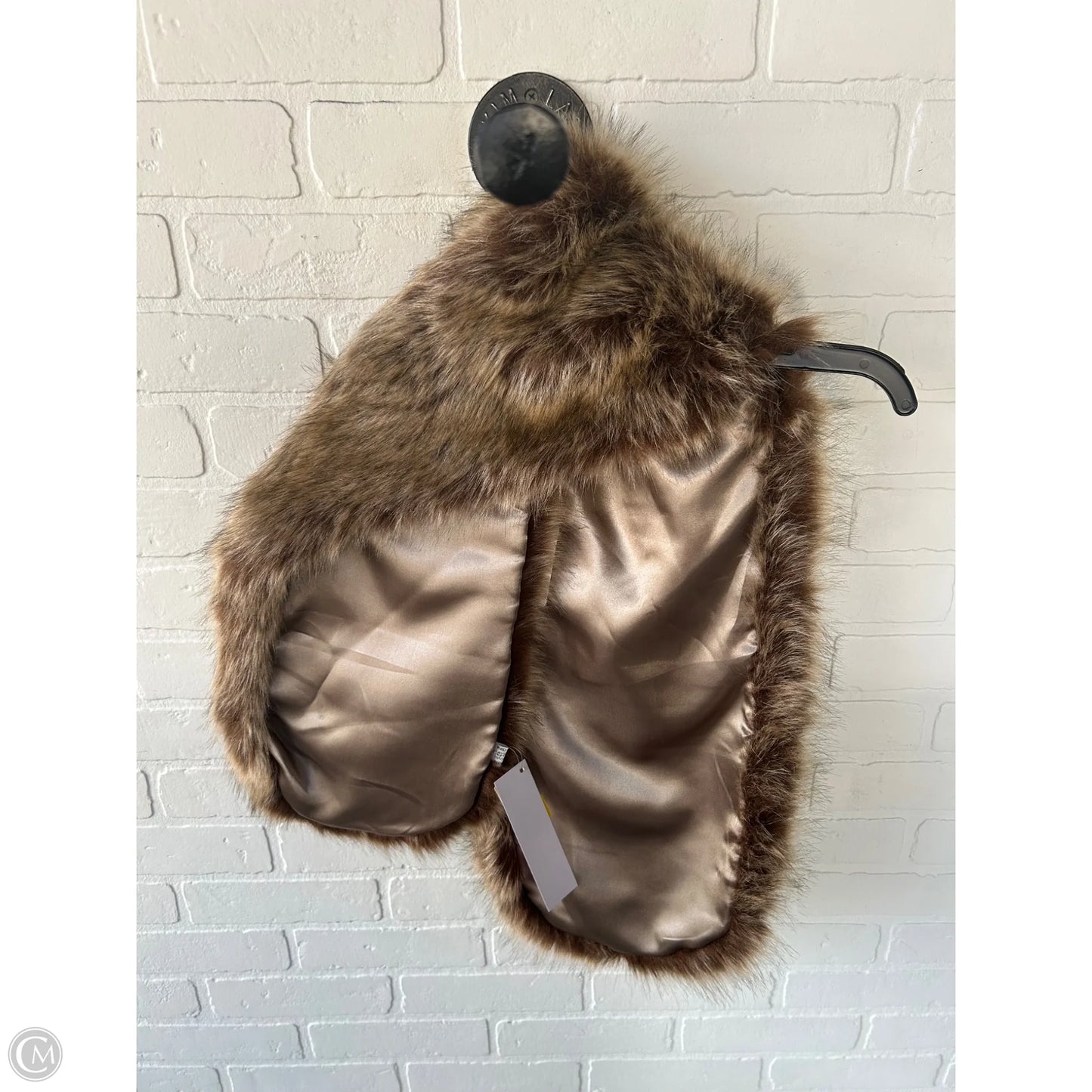 Scarf Winter By Clothes Mentor In Brown