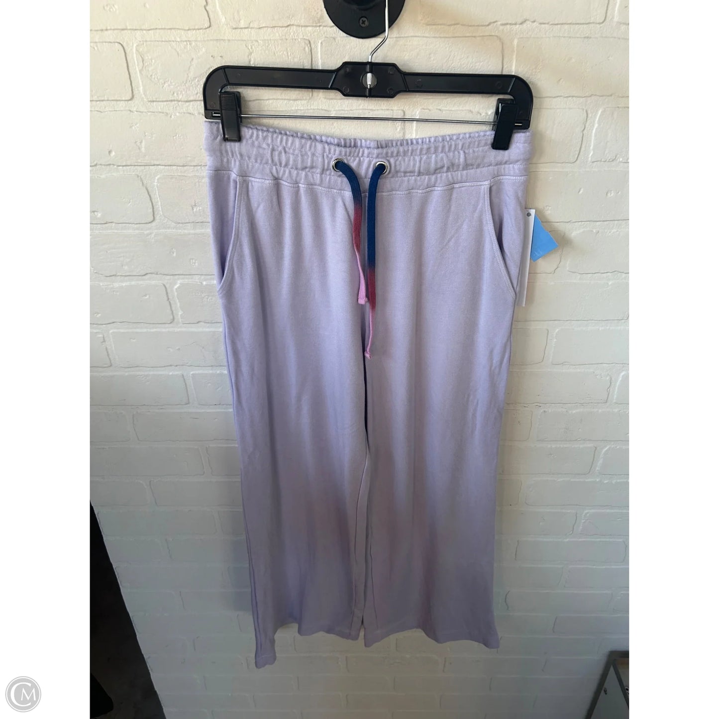 Pants Lounge By Sundry In Purple, Size: 4