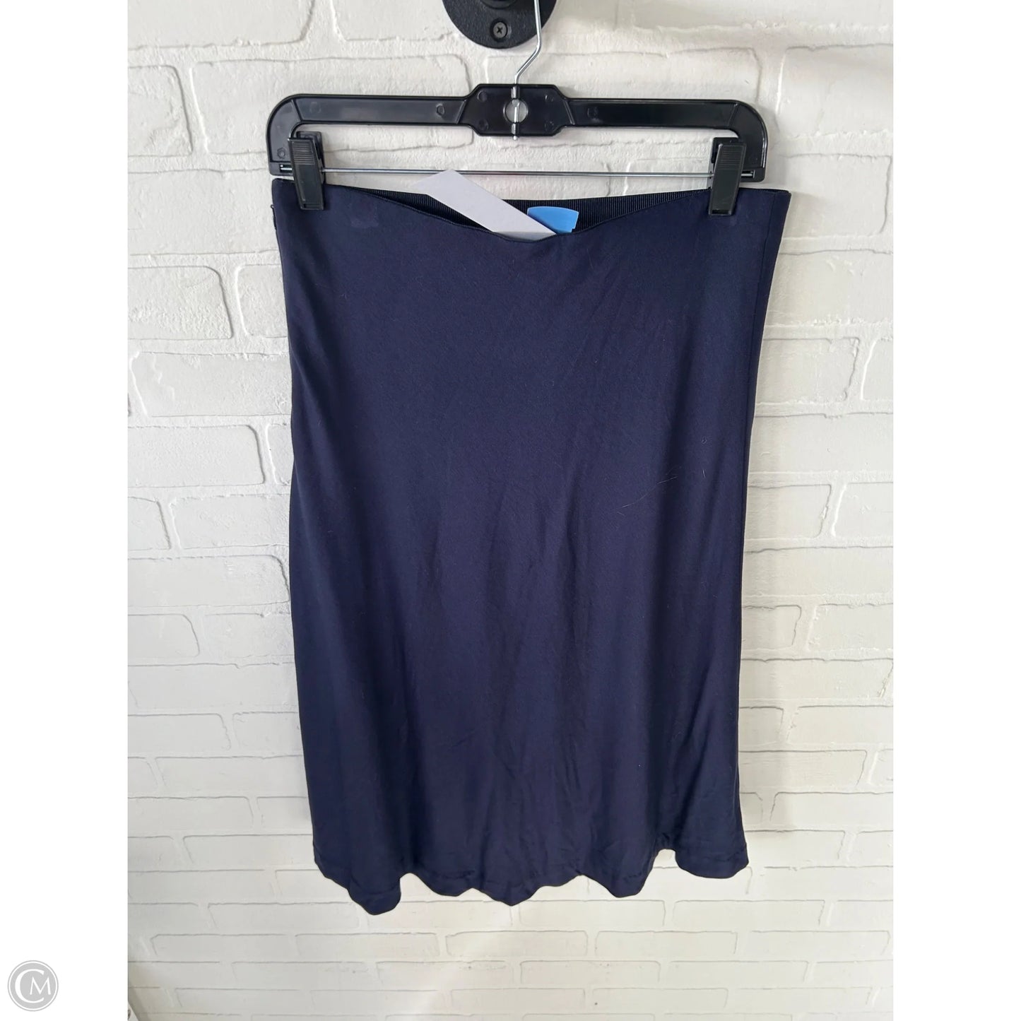 Skirt Midi By Ann Taylor In Blue, Size: 10