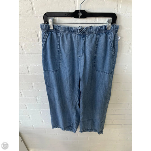 Pants Wide Leg By Splendid In Blue Denim, Size: 8