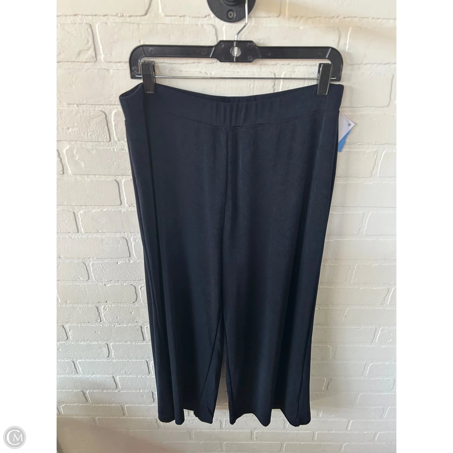 Pants Wide Leg By Chicos In Blue, Size: 12