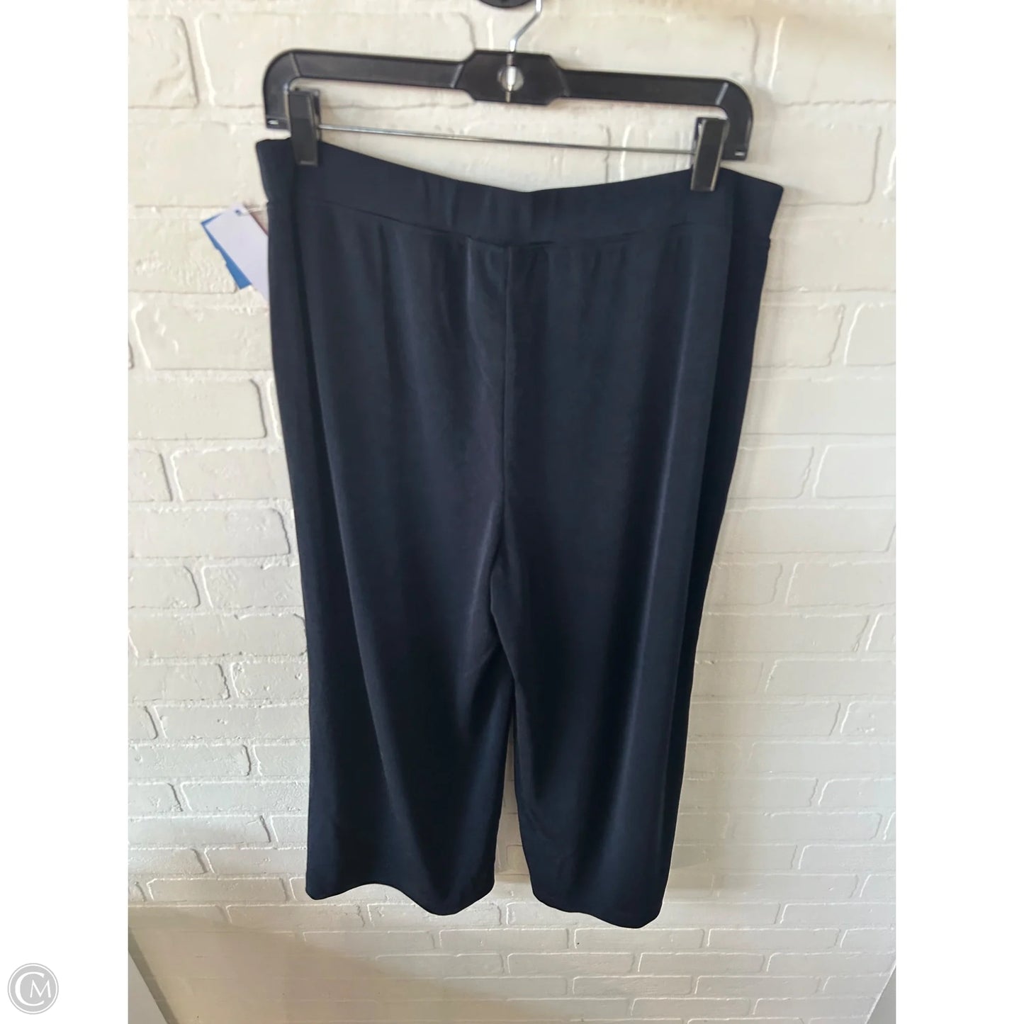 Pants Wide Leg By Chicos In Blue, Size: 12