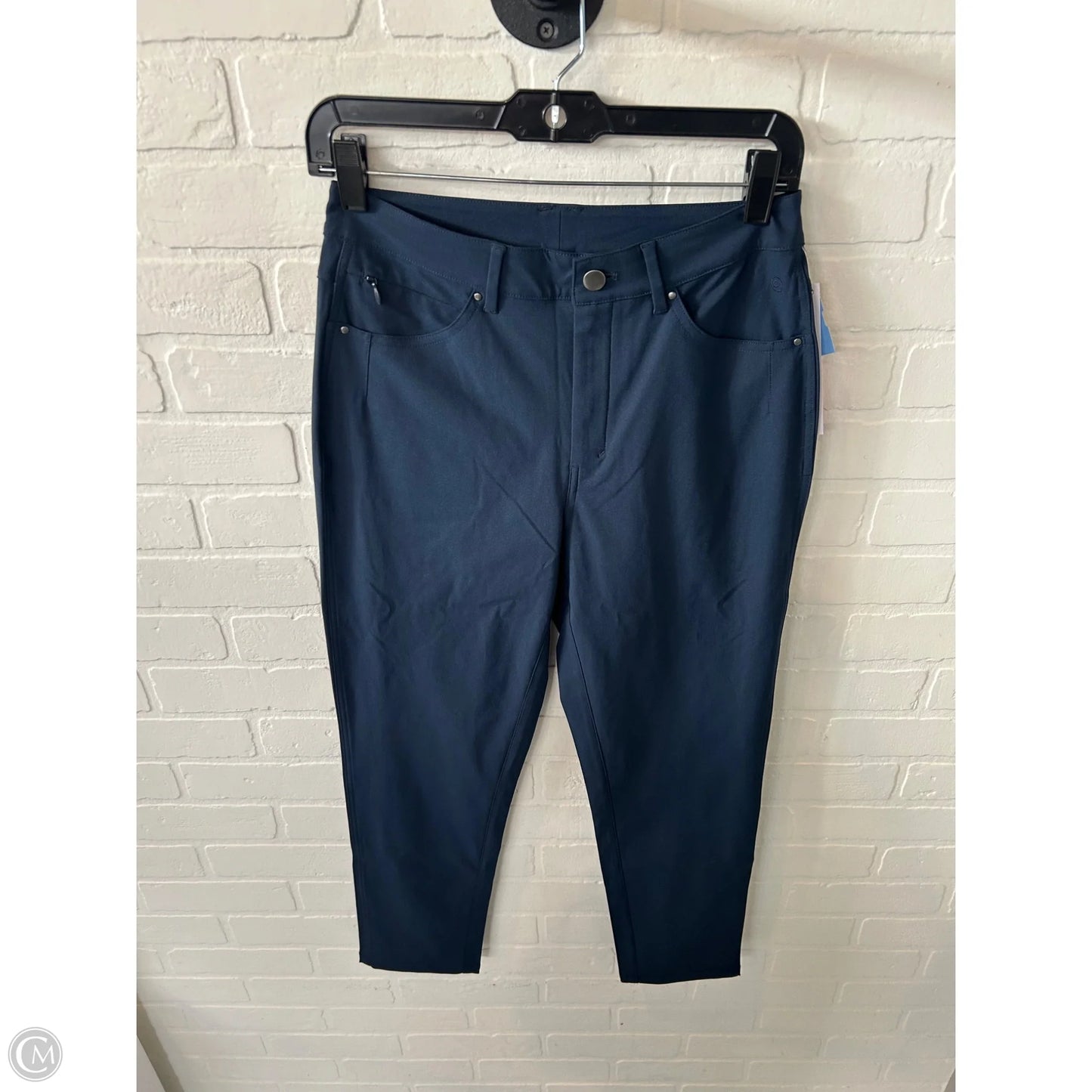 Athletic Pants By Crz Yoga In Blue, Size: 2