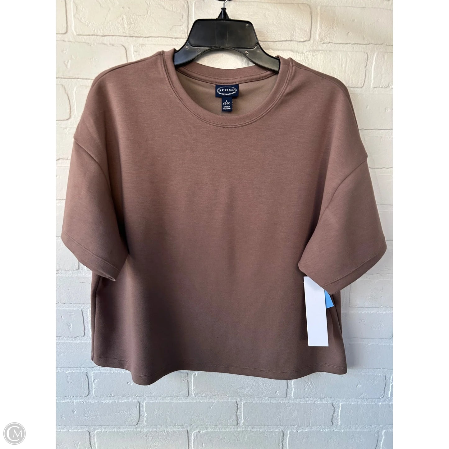 Top Short Sleeve By Scoop In Brown, Size: L
