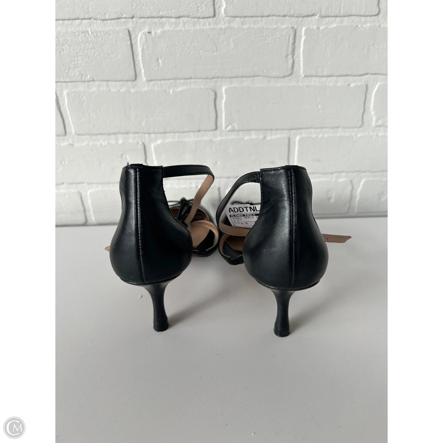 Shoes Heels Kitten By Linea Paolo In Black, Size: 8.5