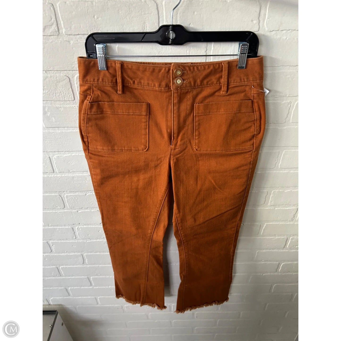 Pants Other By Spartina In Brown, Size: 8