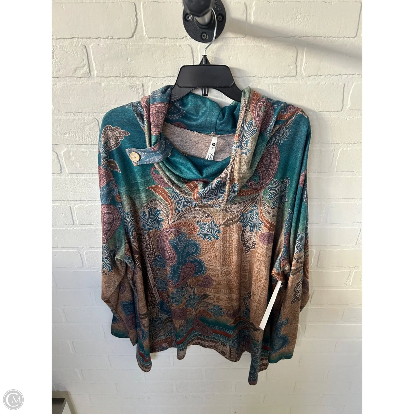 Top Long Sleeve By Leo And Nicole In Blue & Brown, Size: 3x