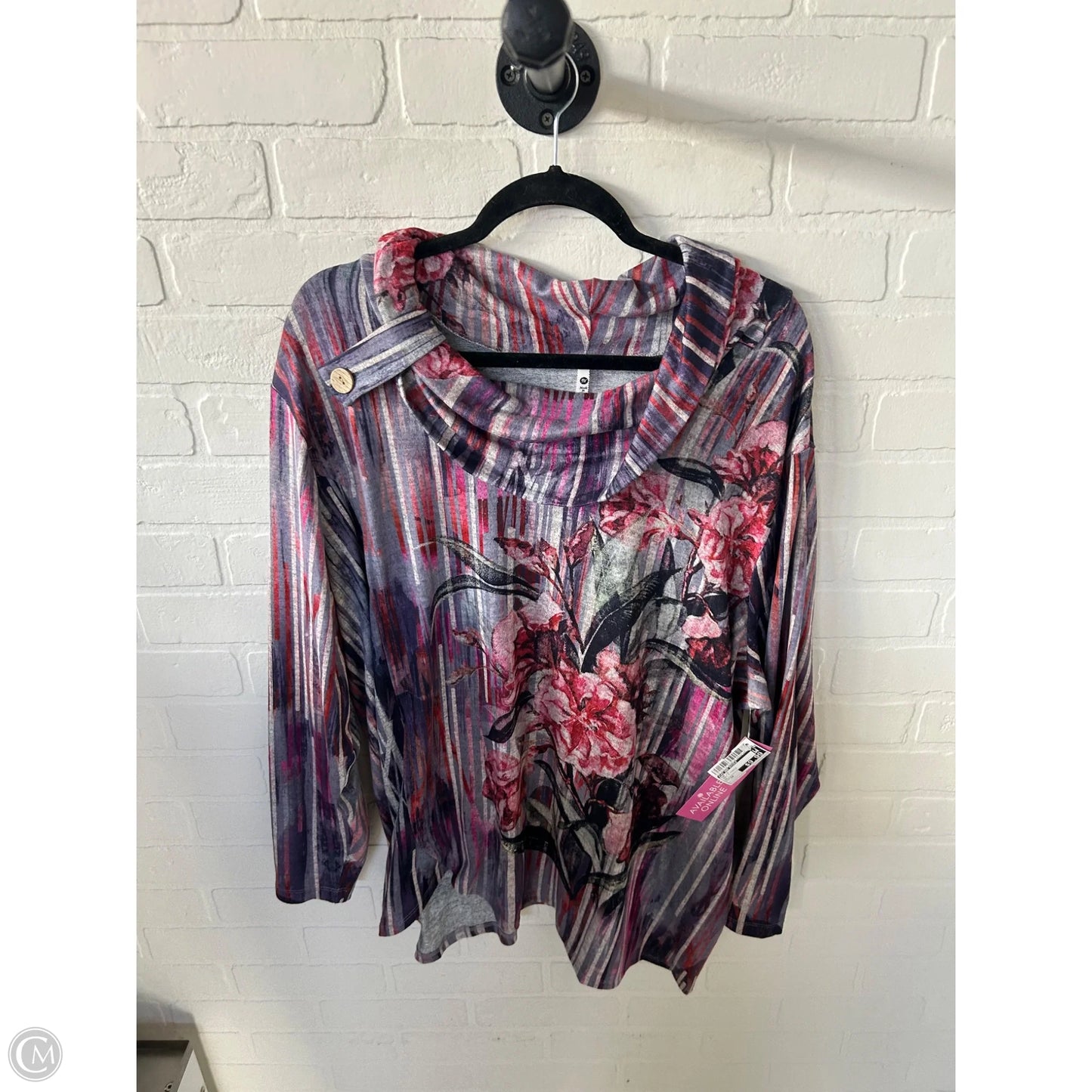 Top Long Sleeve By Leo And Nicole In Grey & Purple, Size: 3x