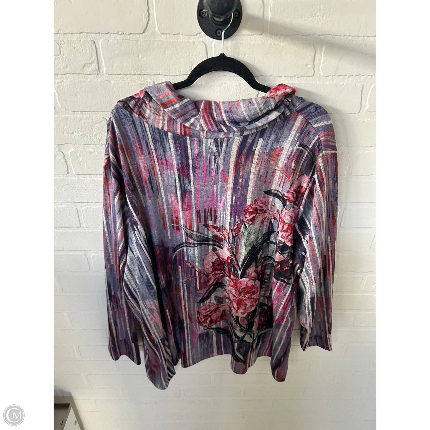 Top Long Sleeve By Leo And Nicole In Grey & Purple, Size: 3x