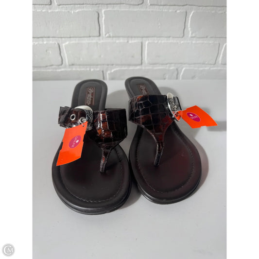 Sandals Flip Flops By Brighton In Brown, Size: 8.5