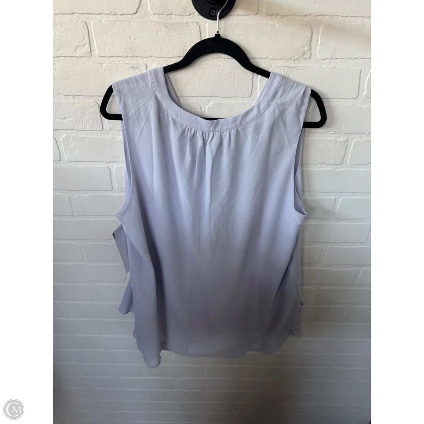 Top Sleeveless By Rose And Olive In Blue, Size: XL