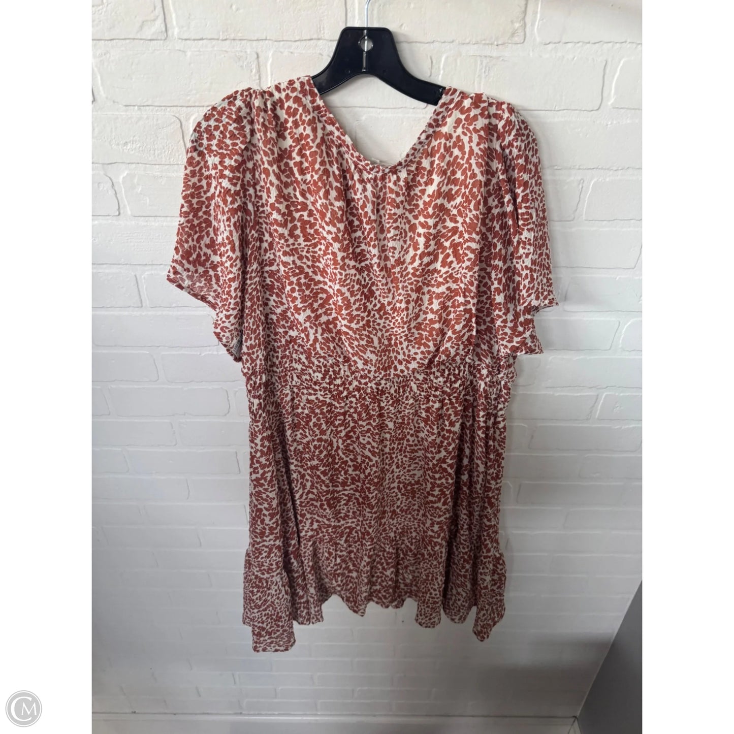 Dress Casual Short By Maurices In Brown & Cream, Size: 1x