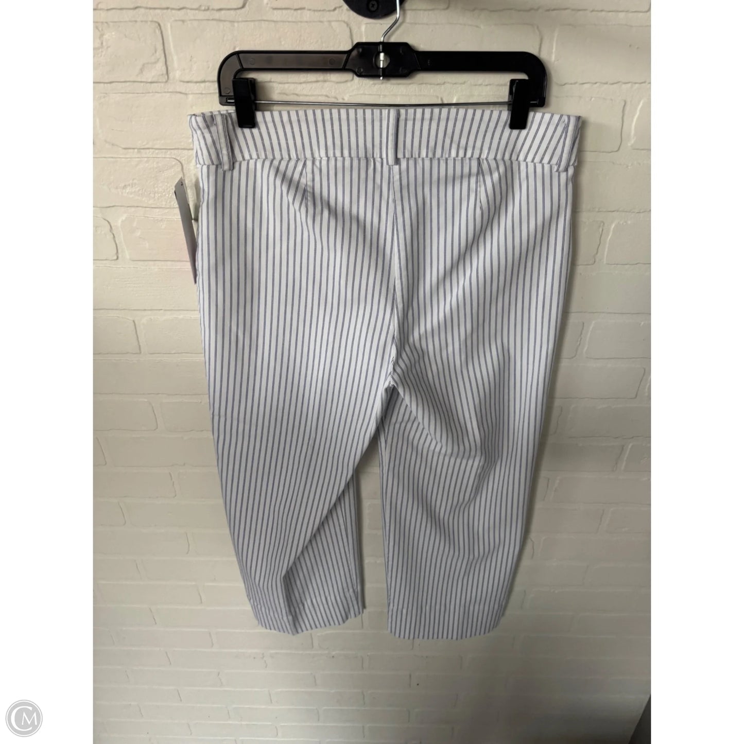 Pants Dress By Chicos In Blue & White, Size: 14