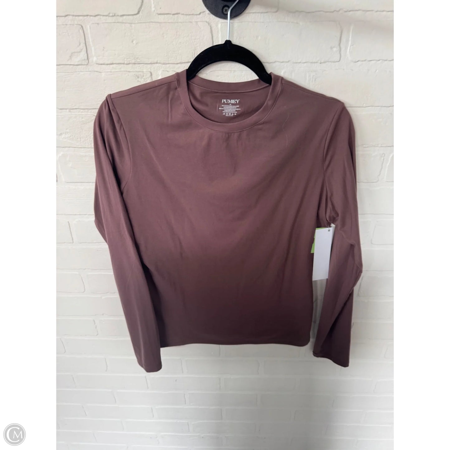 Top Long Sleeve Basic By Clothes Mentor In Brown, Size: Xl