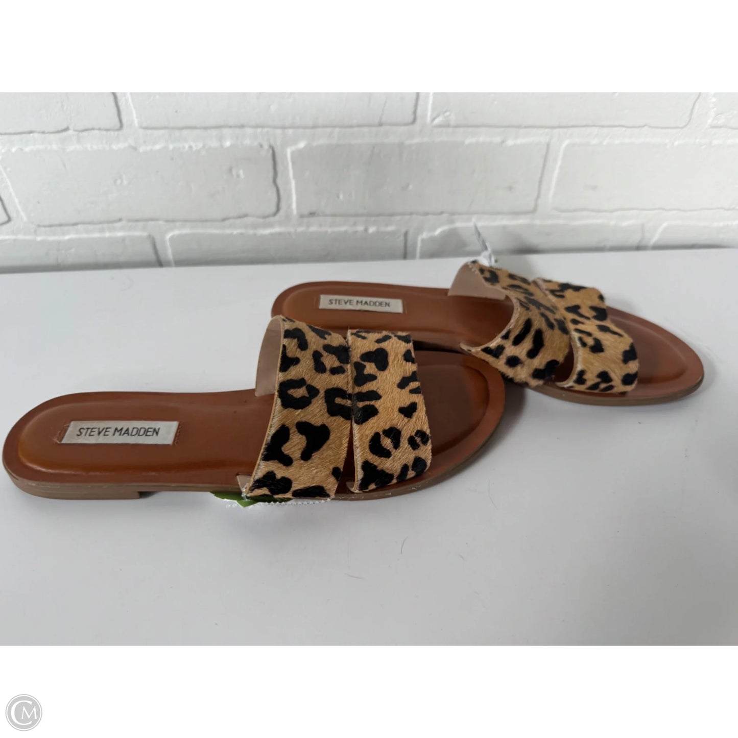 Sandals Flats By Steve Madden In Animal Print, Size: 9.5
