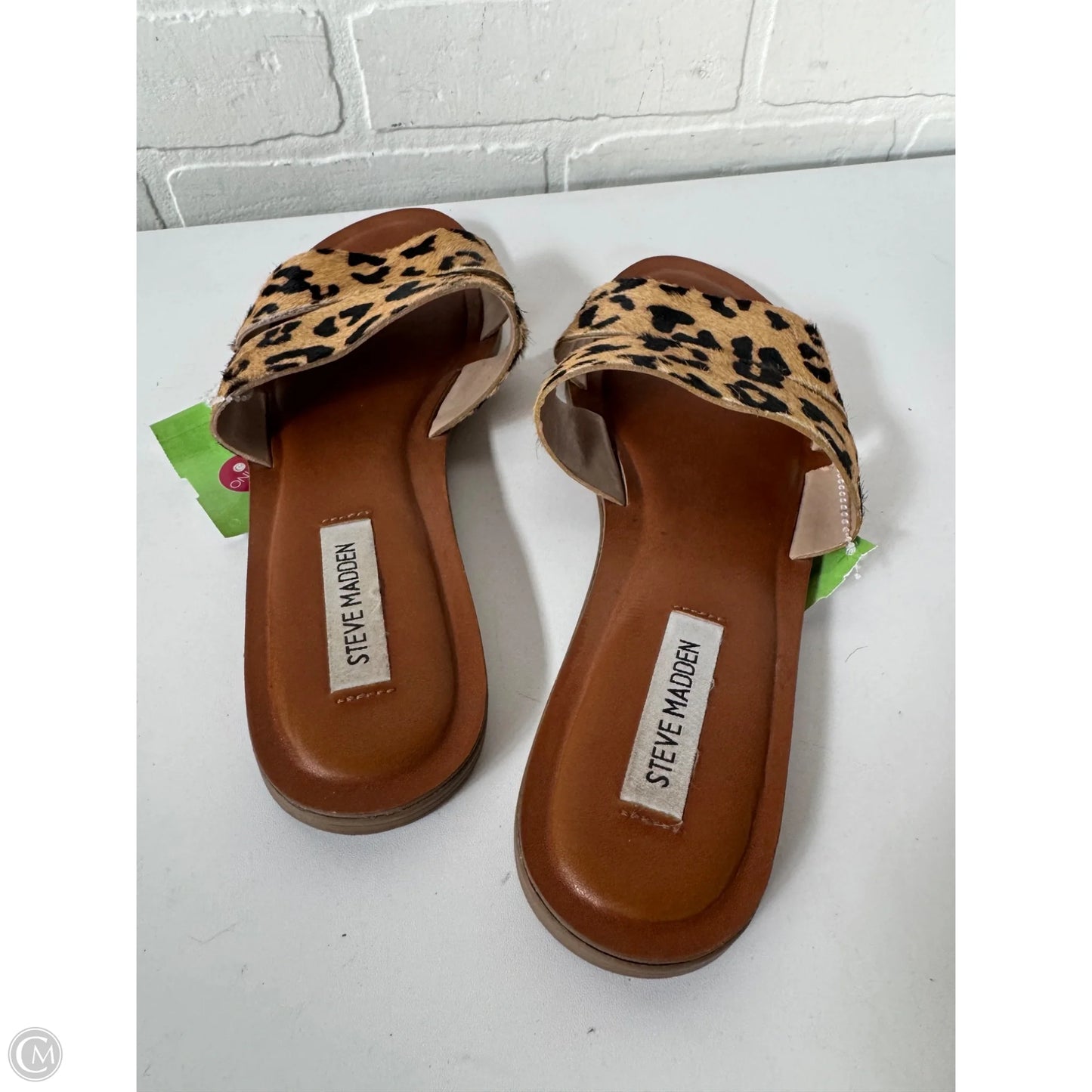 Sandals Flats By Steve Madden In Animal Print, Size: 9.5