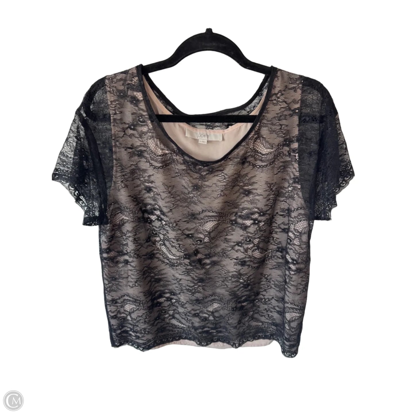 Top Short Sleeve By Loft In Black & Tan, Size: L