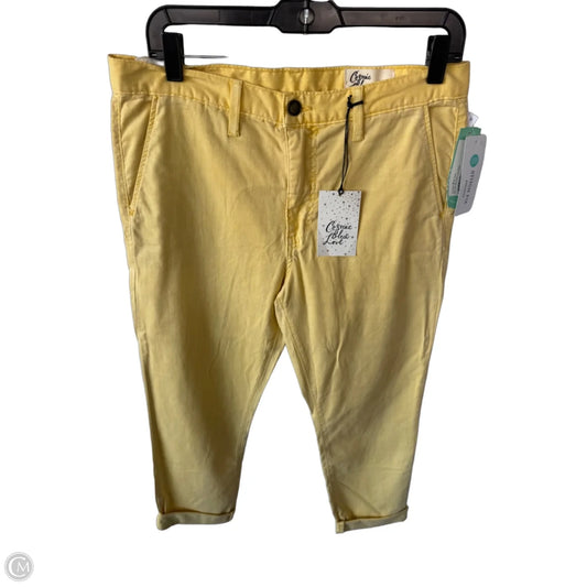Pants Other By Cosmic Blue Love In Yellow, Size: 6