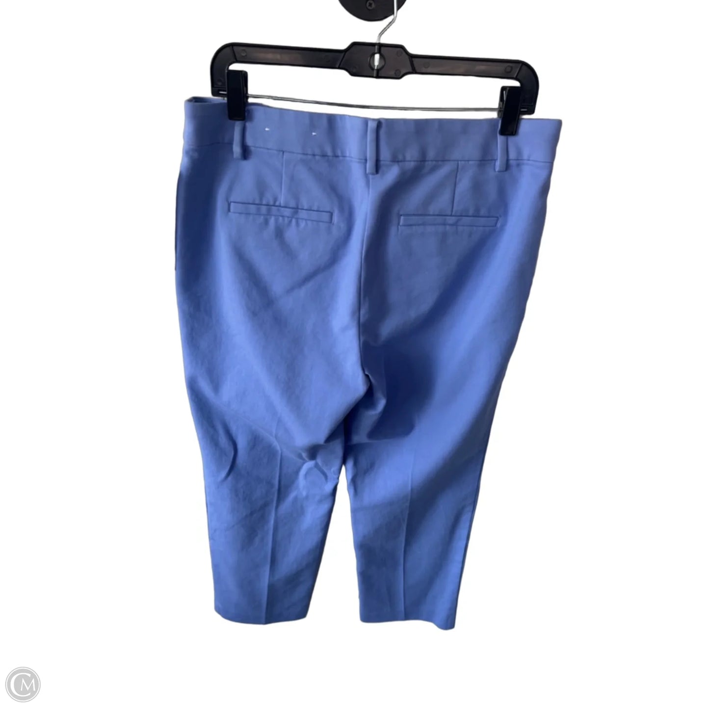 Pants Other By Loft In Purple, Size: 10