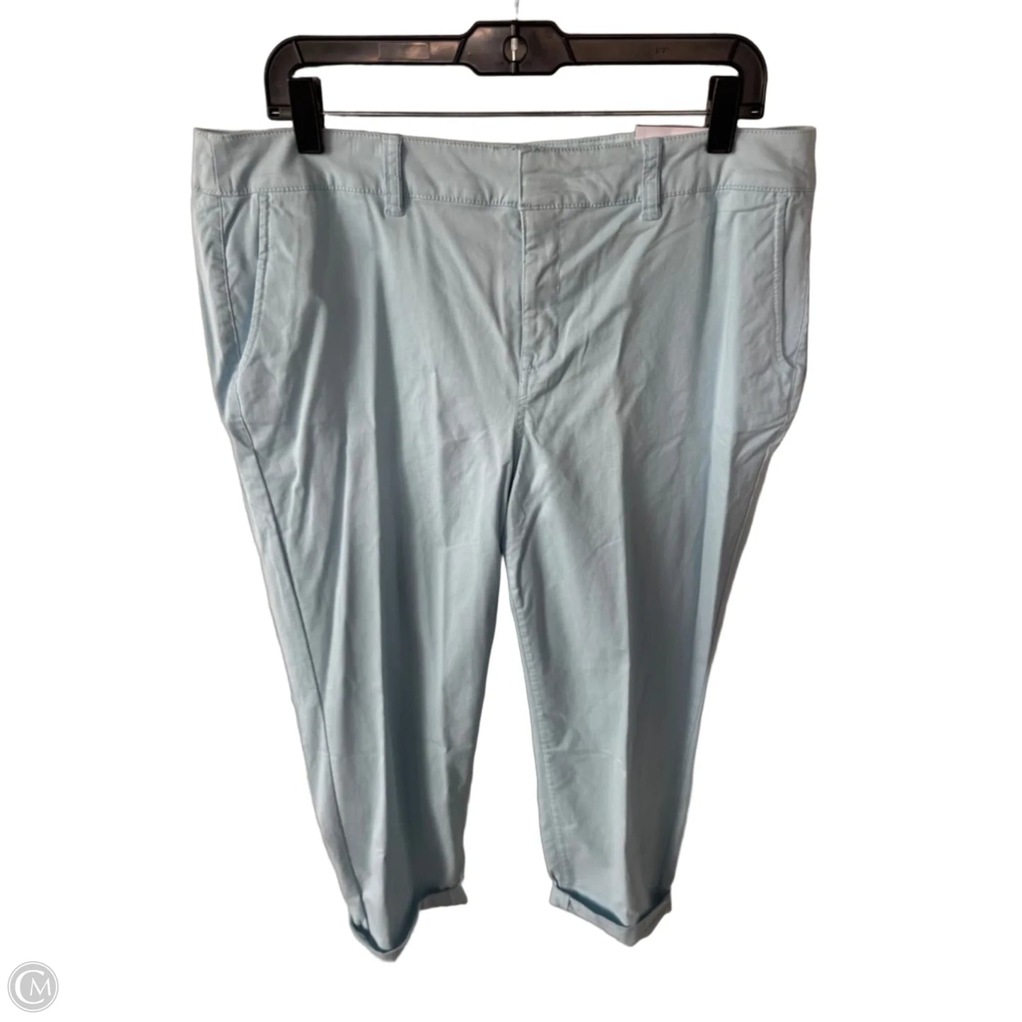Pants Other By Lane Bryant In Blue, Size: 14