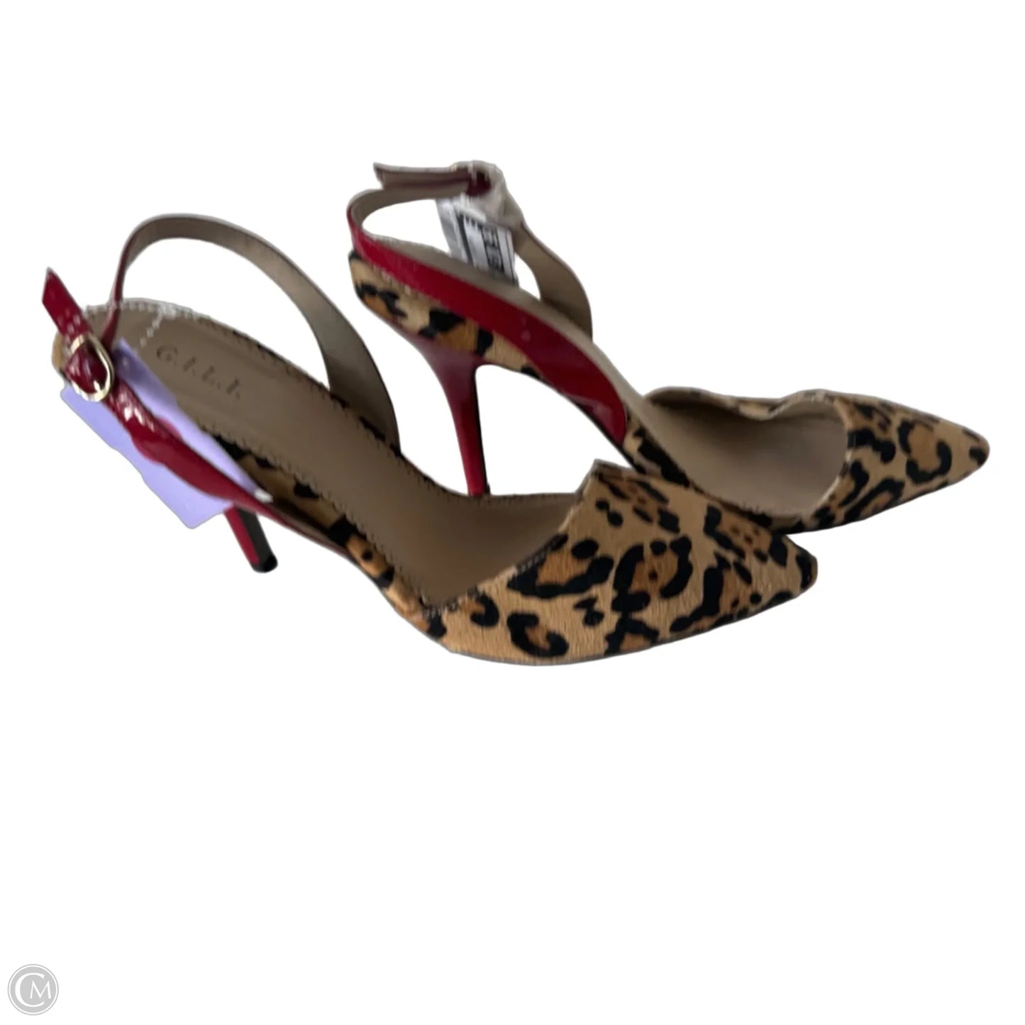Shoes Heels Stiletto By Gilli In Animal Print, Size: 9.5