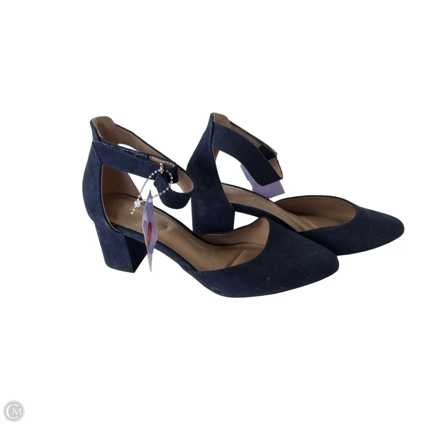 Shoes Heels Block By Lane Bryant In Blue, Size: 9