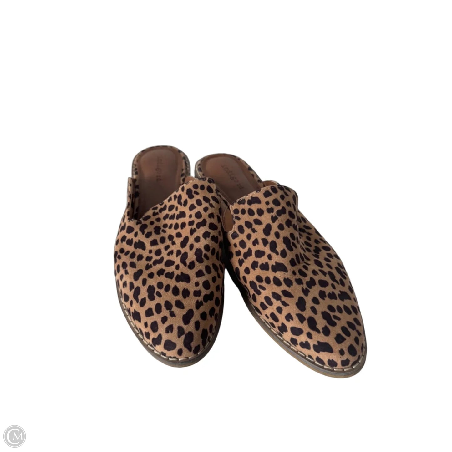 Shoes Flats By Indigo Rd In Animal Print, Size: 8.5