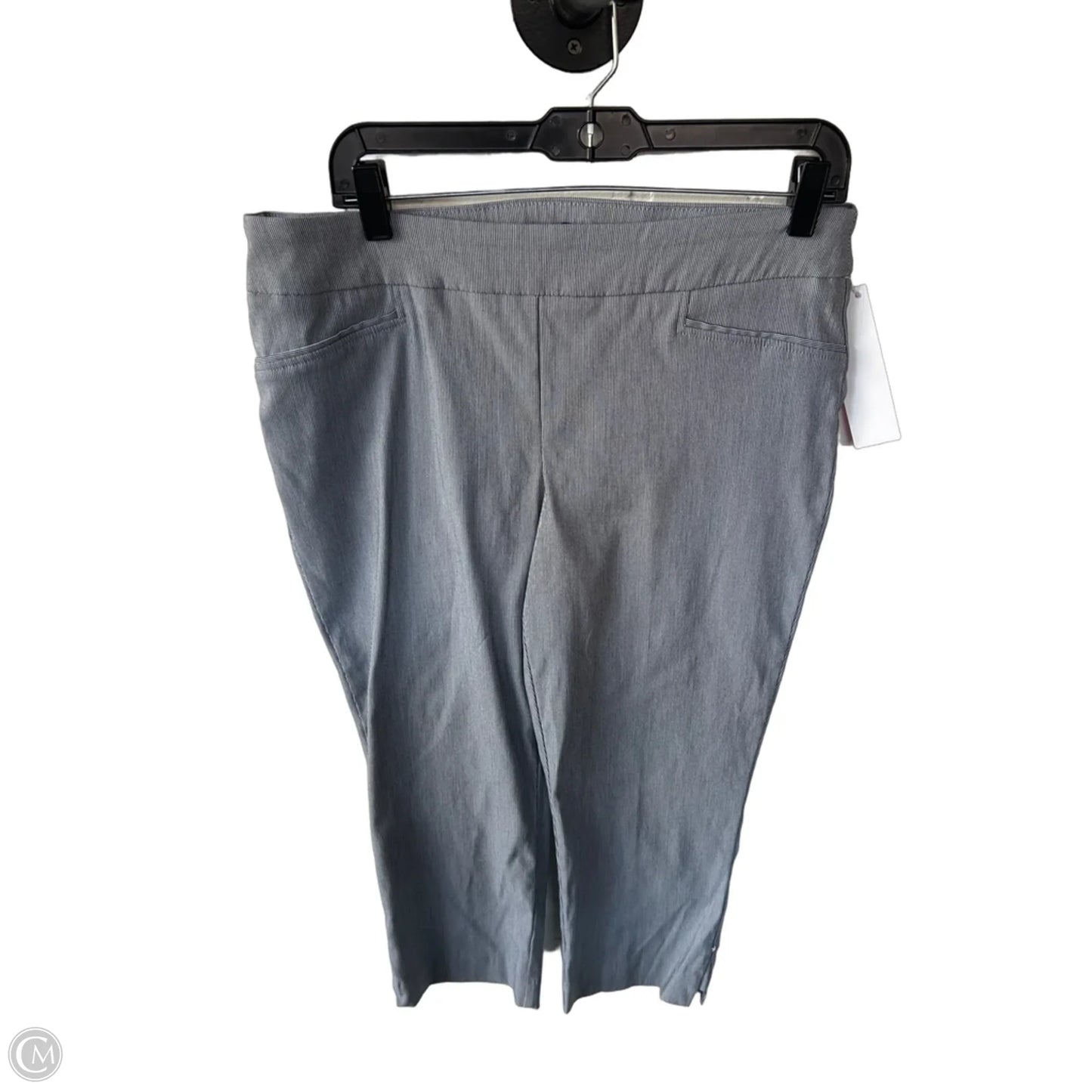 Pants Other By Hilary Radley In Grey, Size: 12