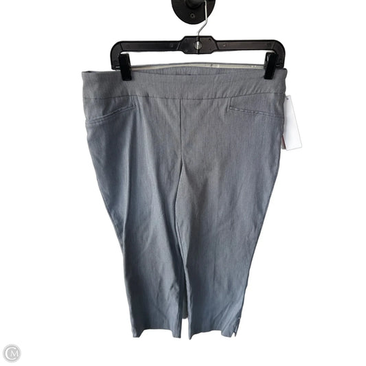 Pants Other By Hilary Radley In Grey, Size: 12