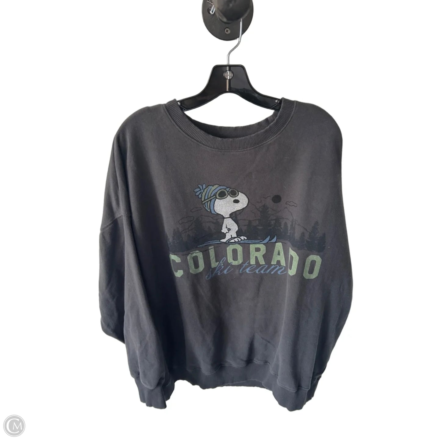 Sweatshirt Crewneck By American Eagle In Grey, Size: L