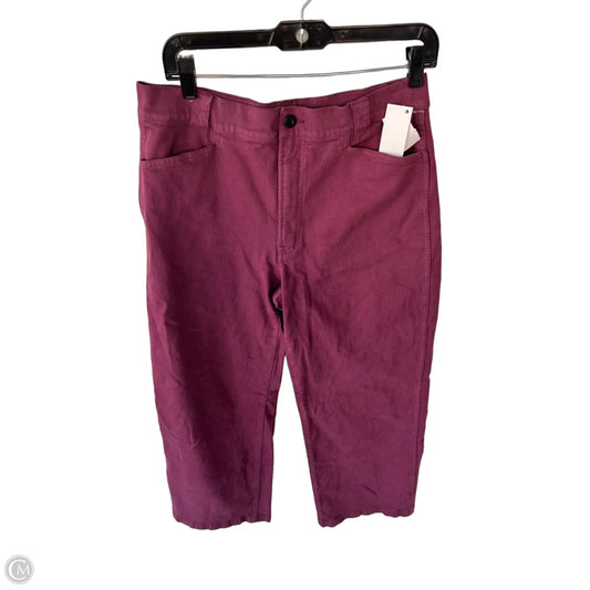Jeans Wide Leg By Madewell In Purple Denim, Size: 10