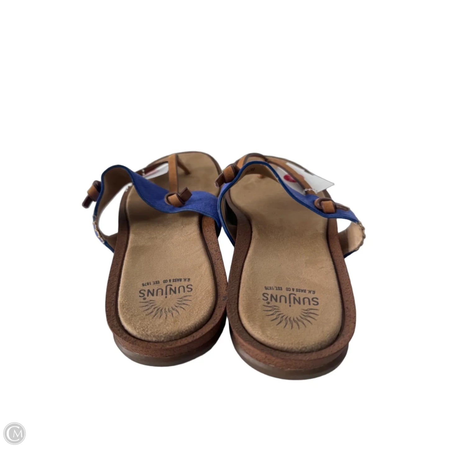 Sandals Flats By Clothes Mentor In Blue & Brown, Size: 9