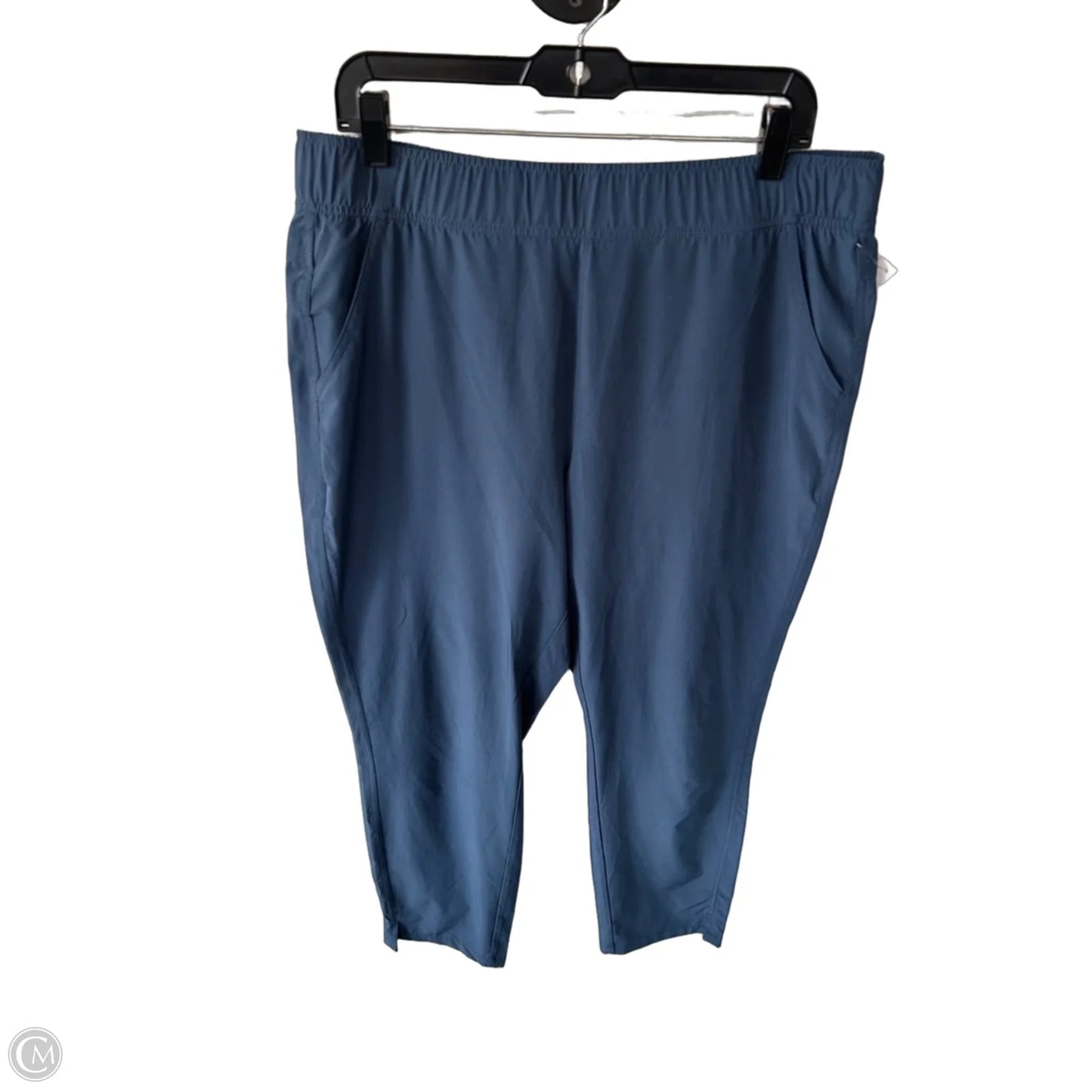 Athletic Pants By Eddie Bauer In Blue, Size: L