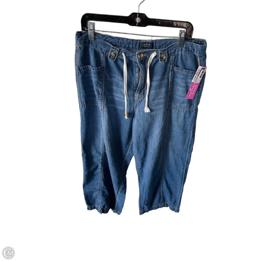 Jeans Wide Leg By Curve Appeal In Blue Denim, Size: 14