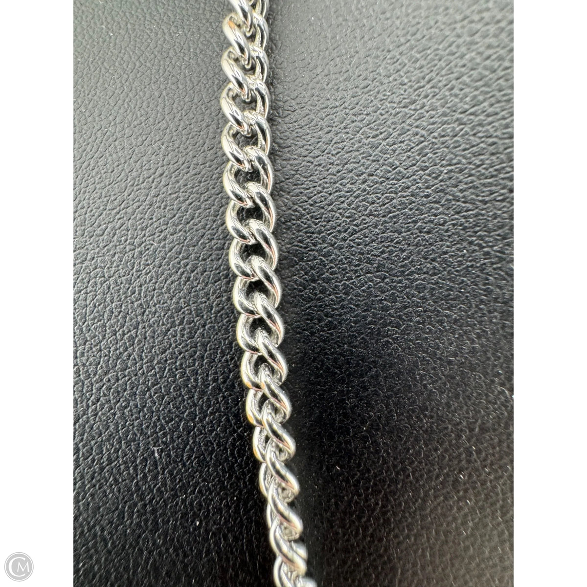 Necklace Chain By Loft
