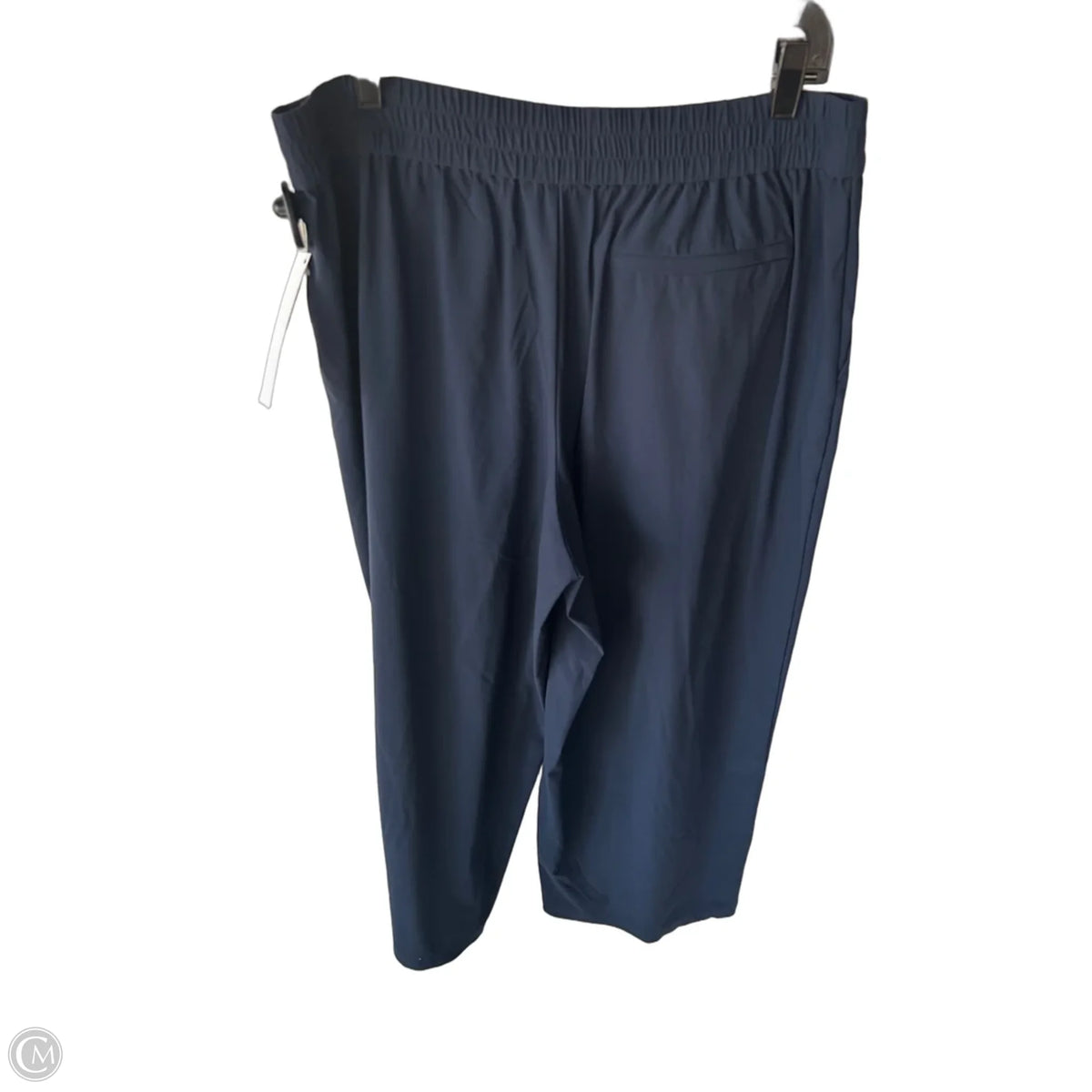 Athletic Pants By Athleta In Blue, Size: 16