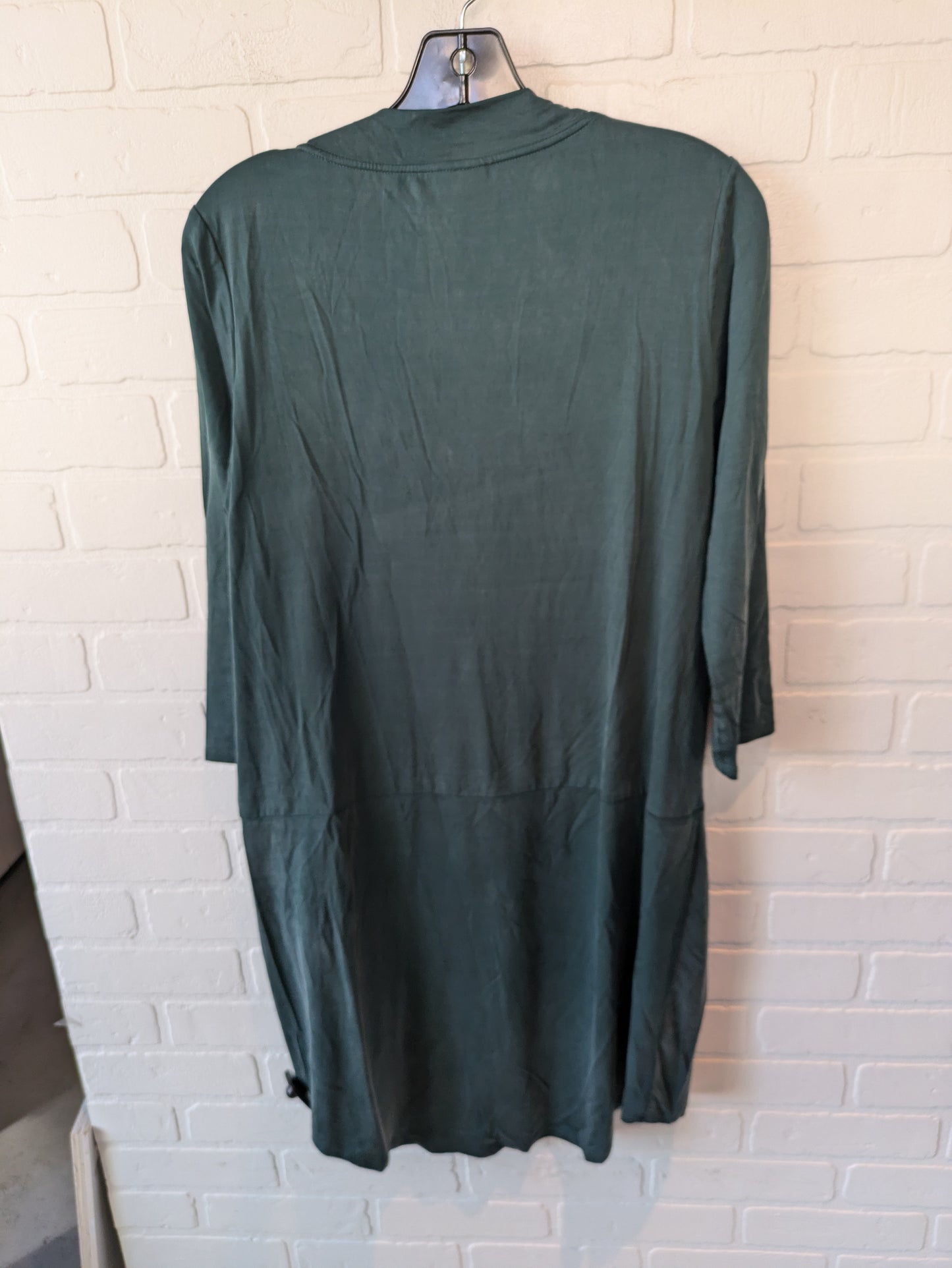 Tunic Long Sleeve By Dolan Left Coast In Green, Size: M