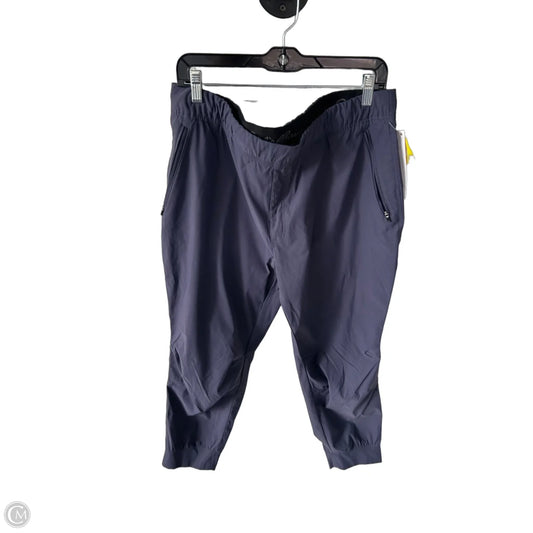 Athletic Pants By Eddie Bauer In Purple, Size: 18