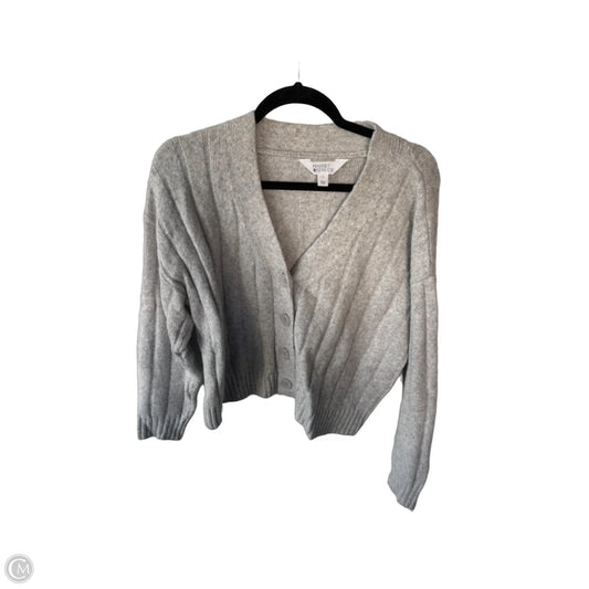 Sweater Cardigan By Market & Spruce In Grey, Size: L