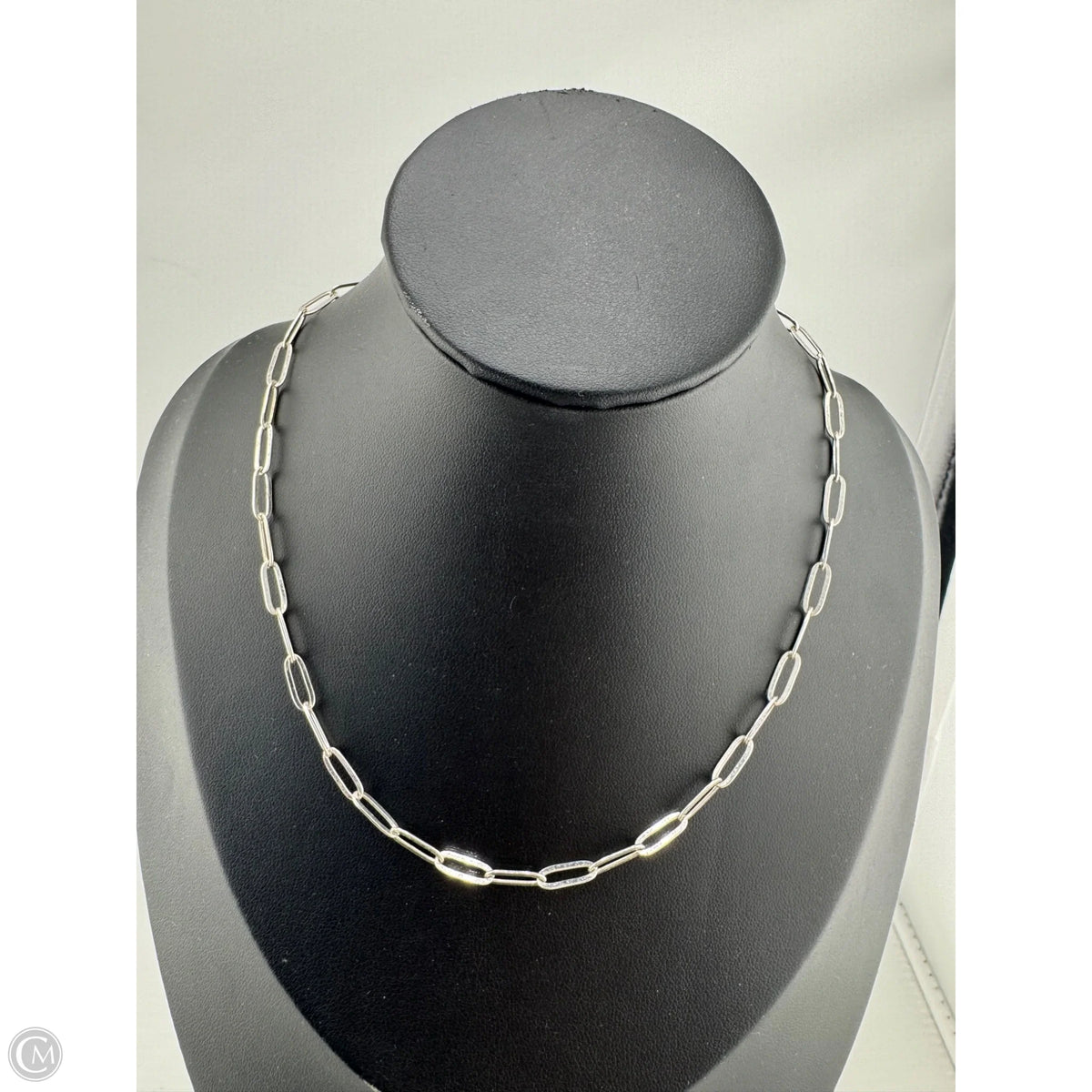 Necklace Chain By Clothes Mentor