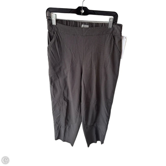 Pants Other By Habitat In Black & Grey, Size: S