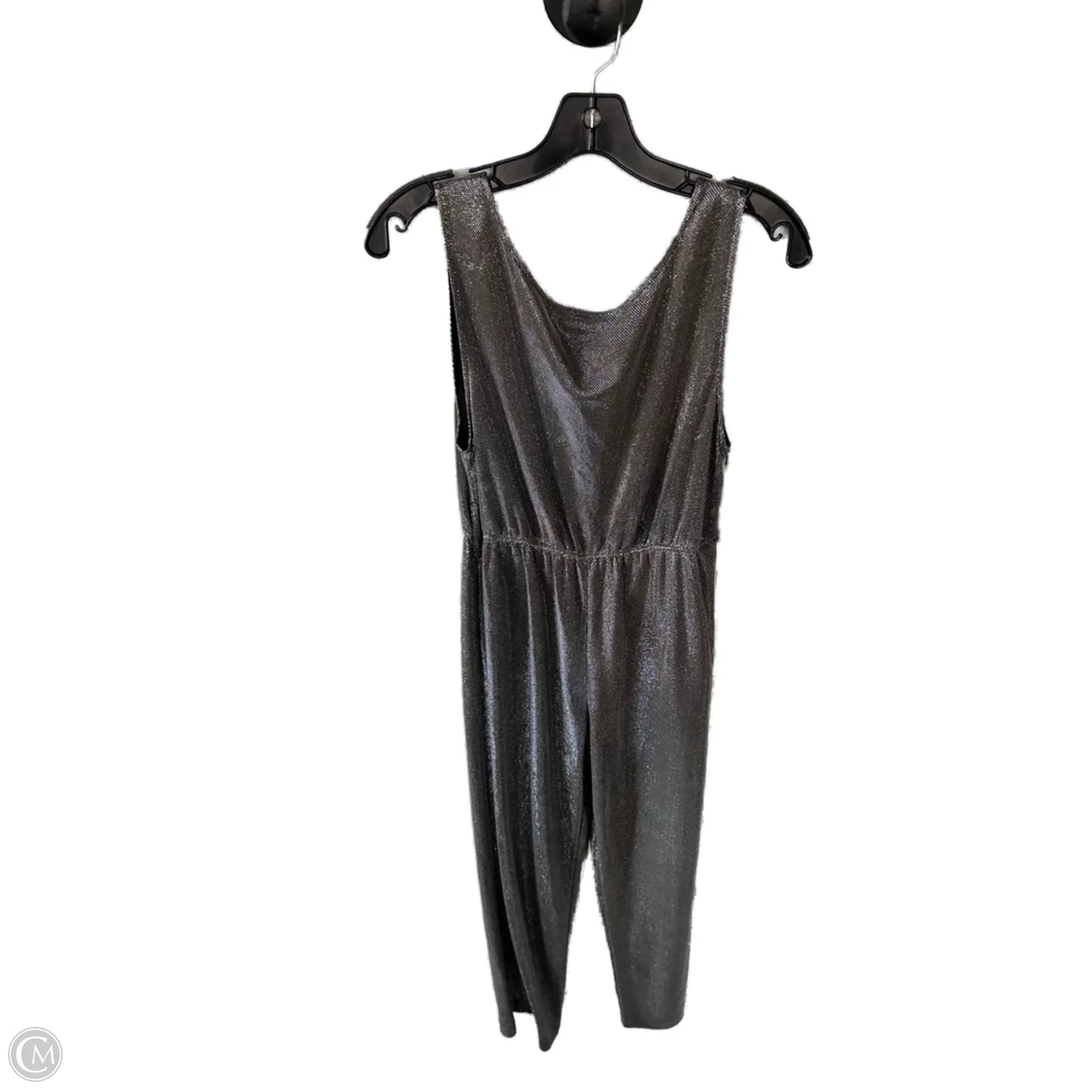 Jumpsuit By Clothes Mentor In Silver, Size: M