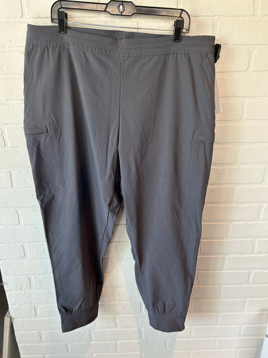 Athletic Pants By The North Face In Grey, Size: 18