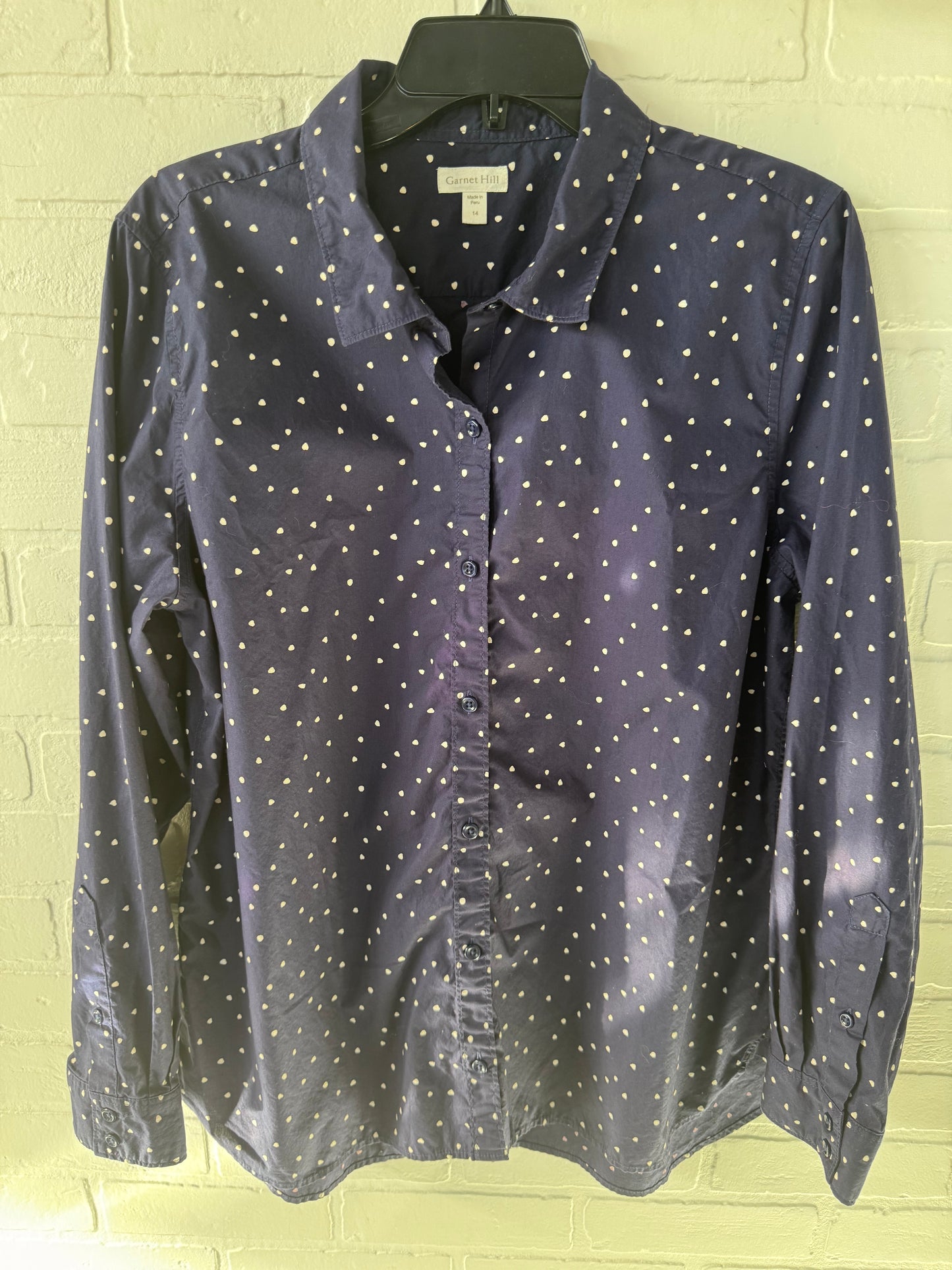 Top Long Sleeve By Garnet Hill In Blue & White, Size: Xl